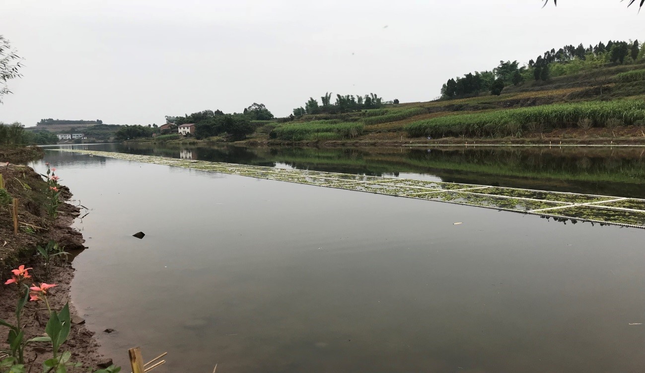 四川省内江市乌龙河（威远段）水环境现状评估